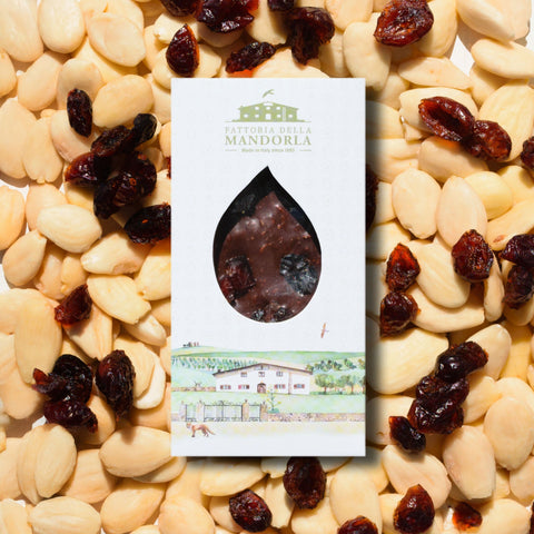 BARRETTA MIRTILLO E CIOCCOLATO 40g - GAS