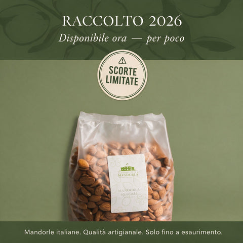 Mandorle pugliesi biologiche varietà Filippo Cea