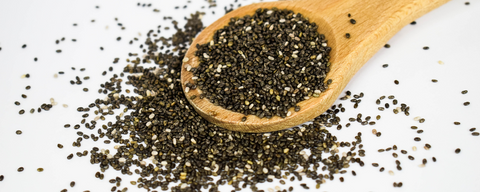 Semi bio proteici e salutari: guida pratica in cucina