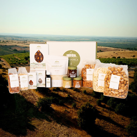 Kleine Linse - Beutel Gr. 500