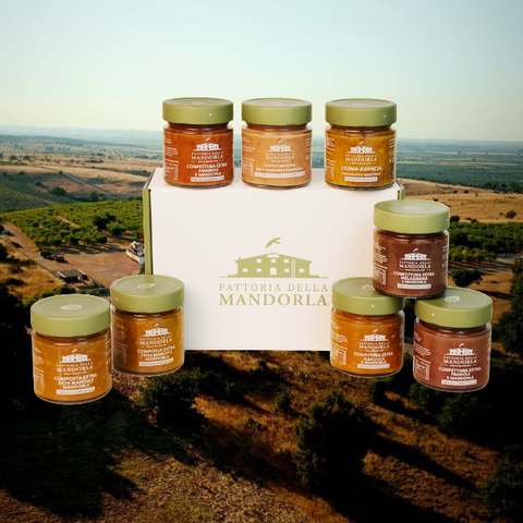 Kleine Linse - Beutel Gr. 500