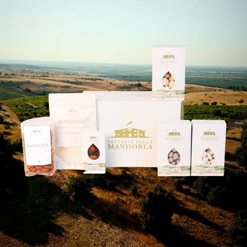 Kleine Linse - Beutel Gr. 500