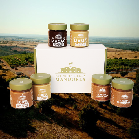 Kleine Linse - Beutel Gr. 500