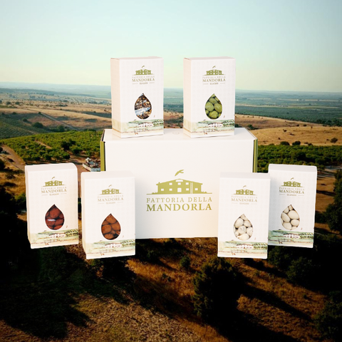 Kleine Linse - Beutel Gr. 500