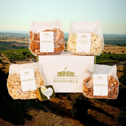 Kleine Linse - Beutel Gr. 500