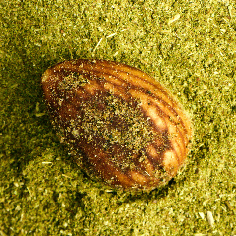 Mandorla chips Pesto