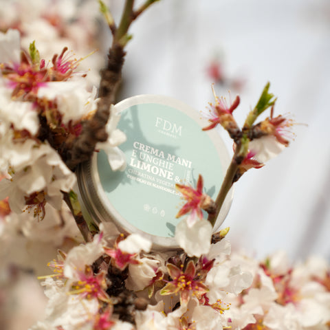 Crema Corpo Mirtilli E Aloe - 200 ml