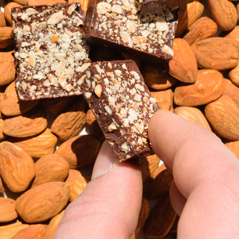 BARRETTA AL CIOCCOLATO CON GRANELLA 40g - GAS